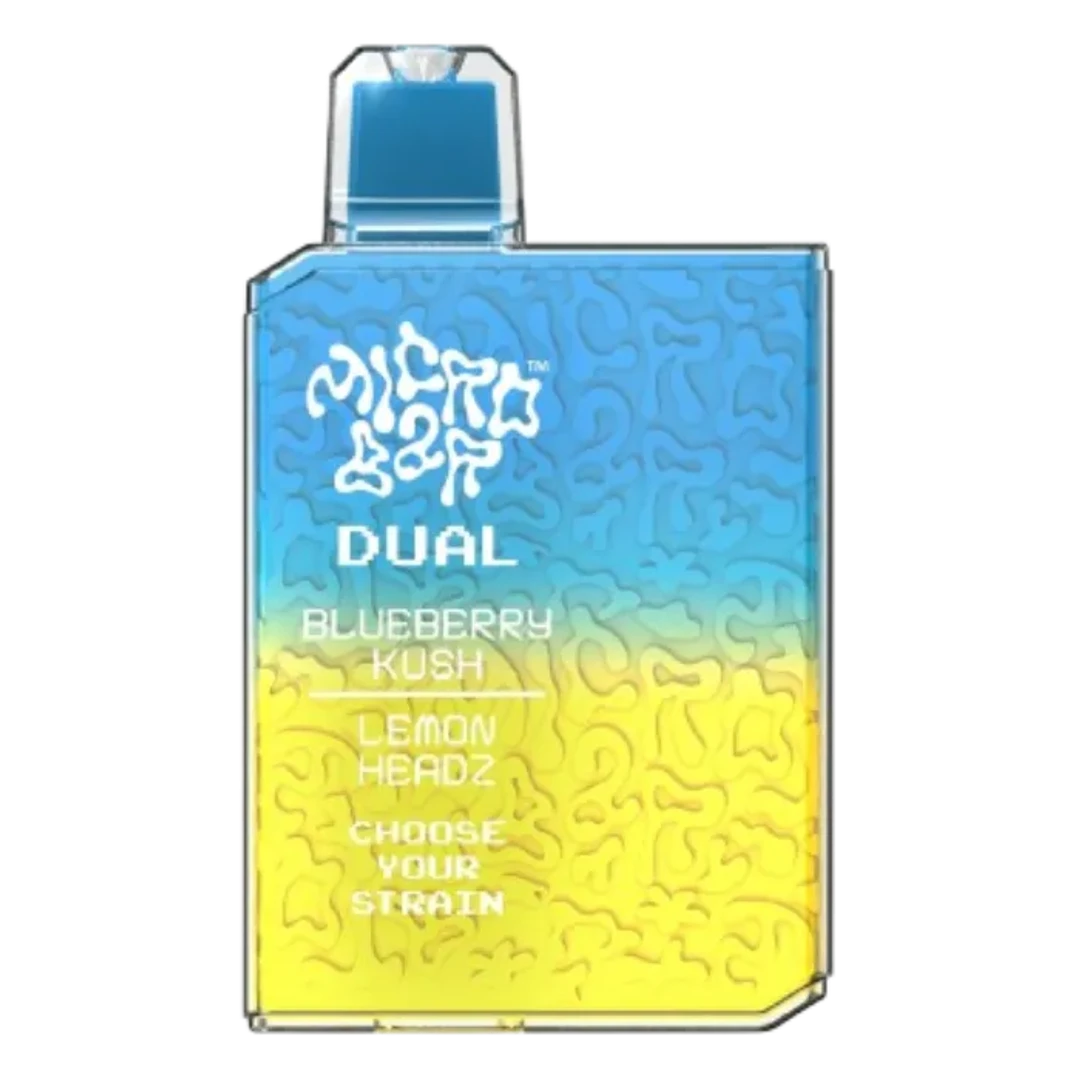 Blueberry Kush x Lemon Headz All in One 1G