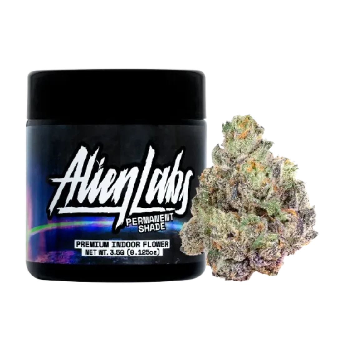 PERMANENT SHADE - 3.5 g