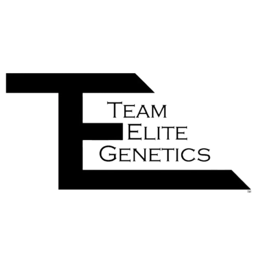 Purple Gas Trucker Hash Hole Single 2G