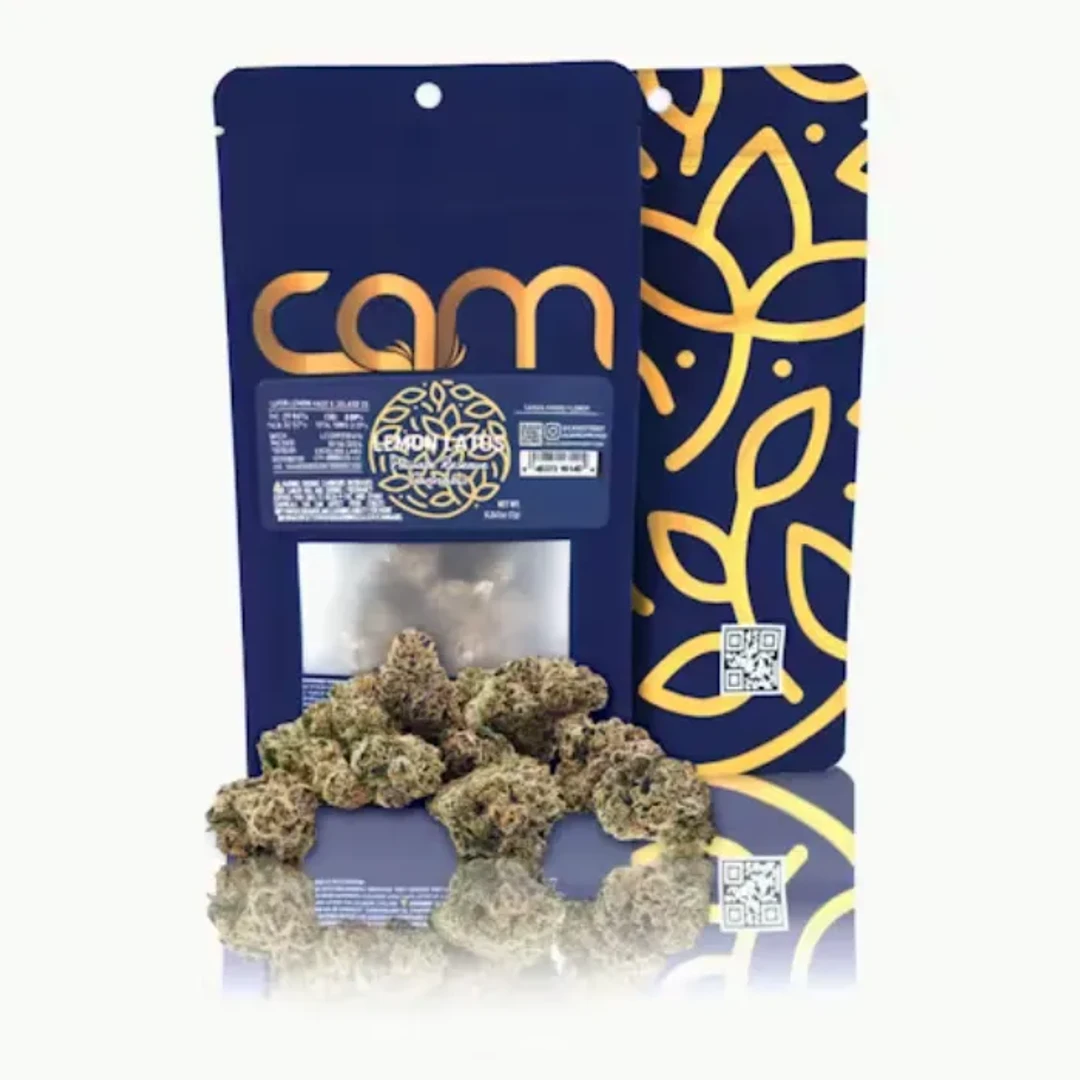 Lemon Latos 7G