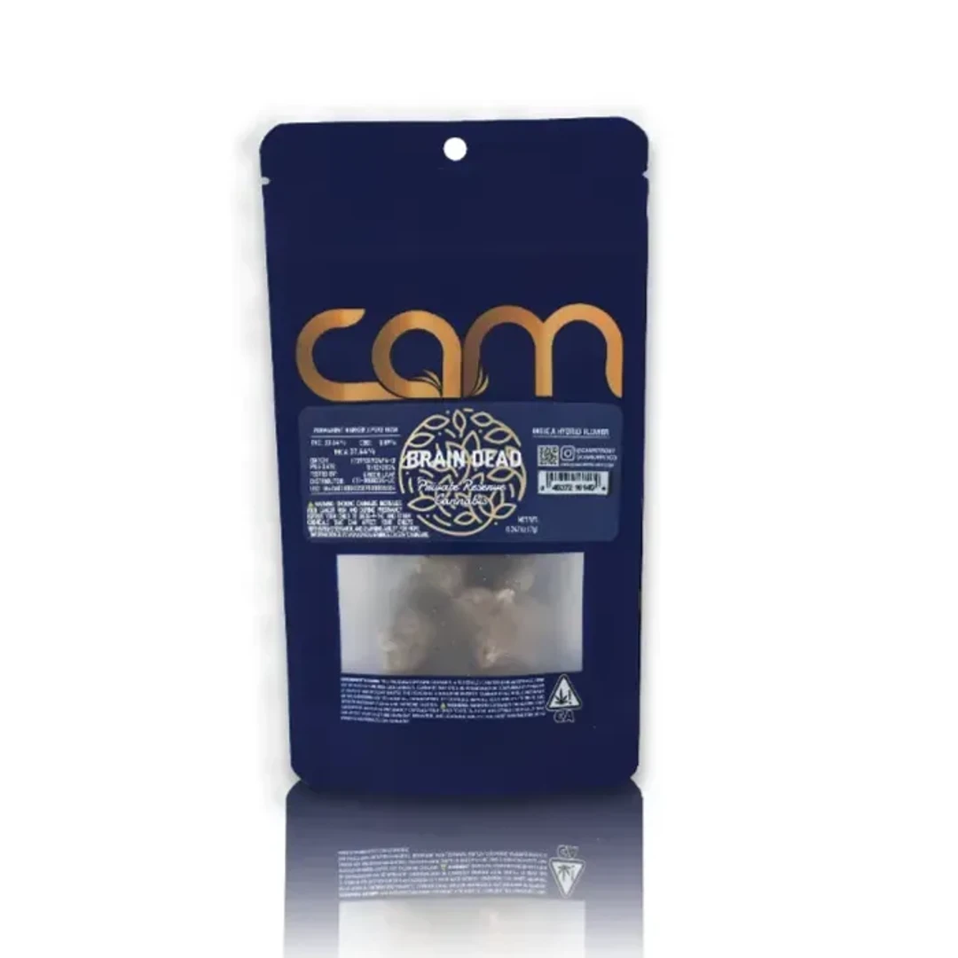 BRAIN DEAD 7G