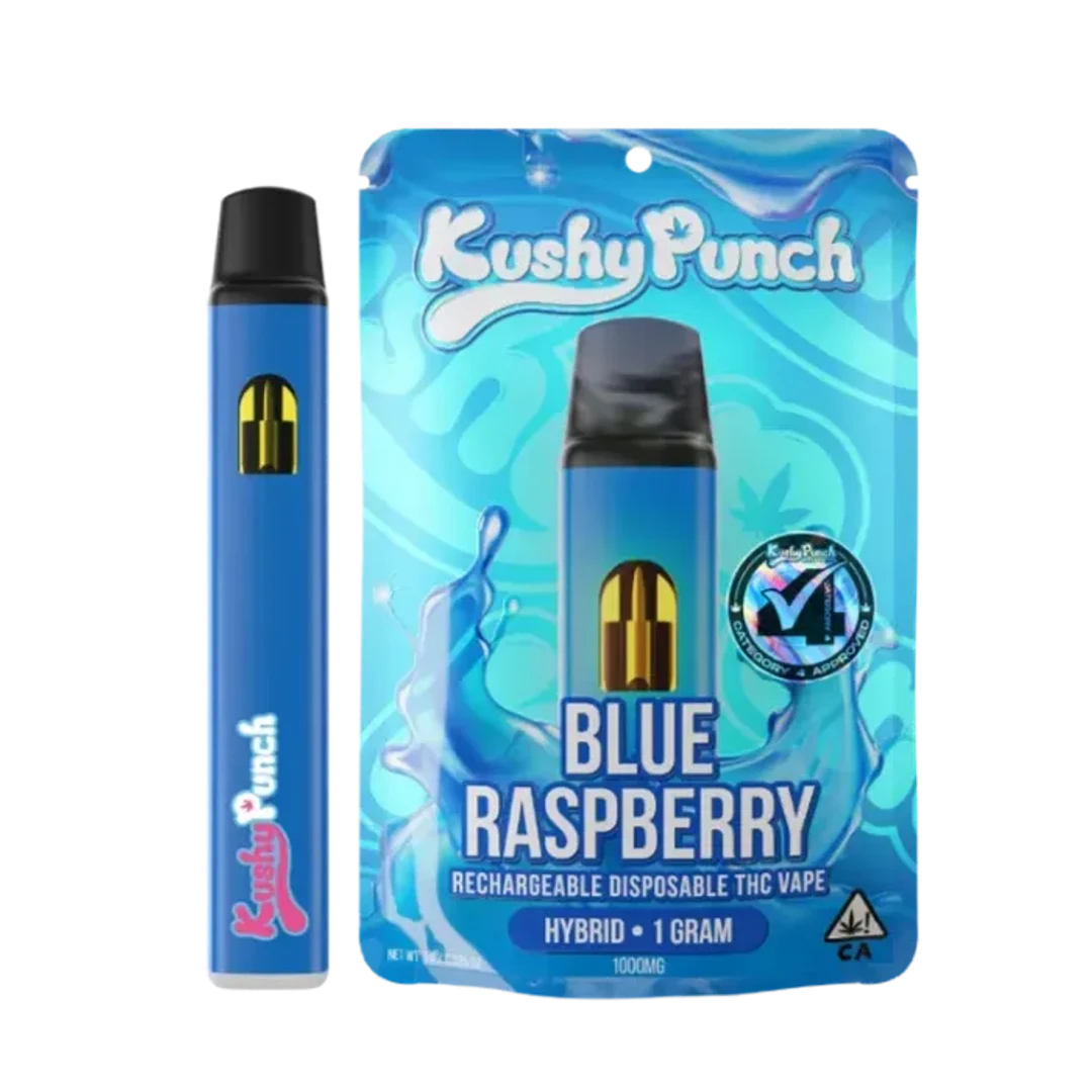 BLUE RASPBERRY ALL IN ONE 1G