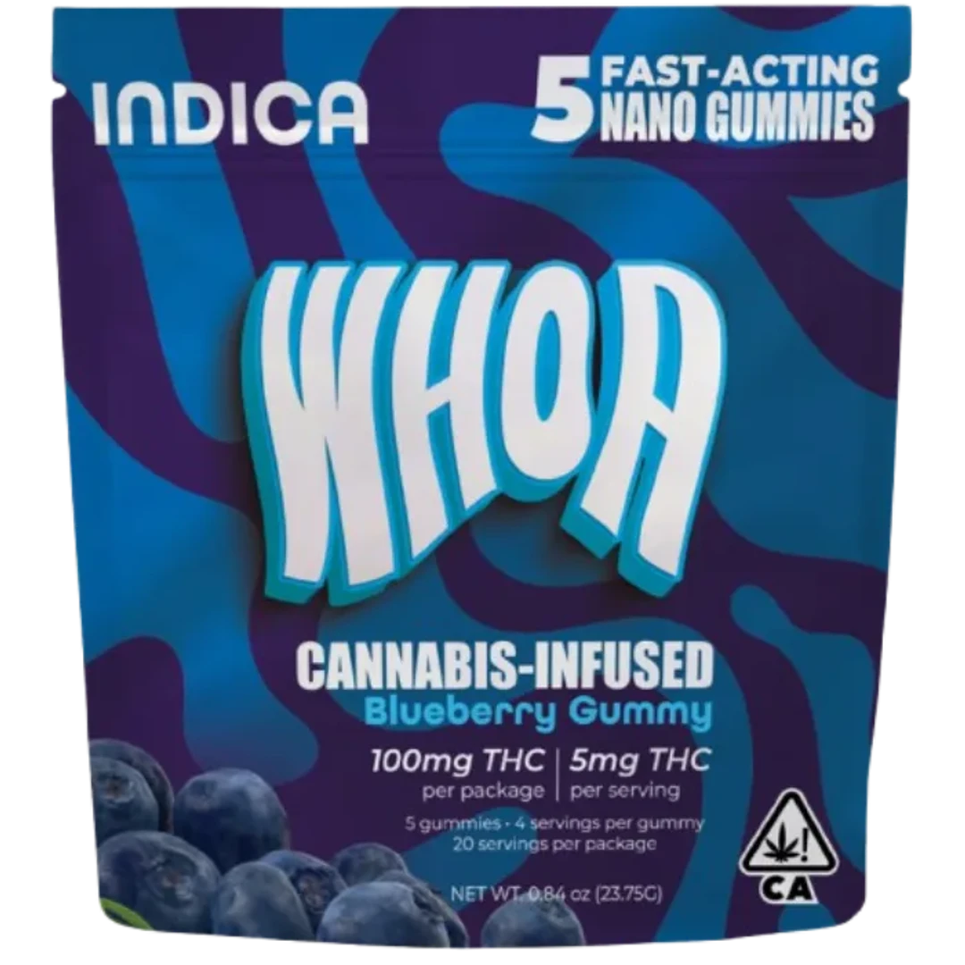 BLUEBERRY GUMMY 5 PACK 100MG