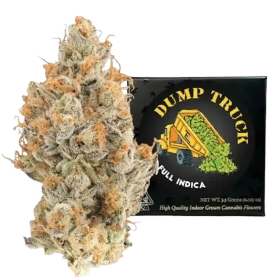 Dump Truck 3.5G