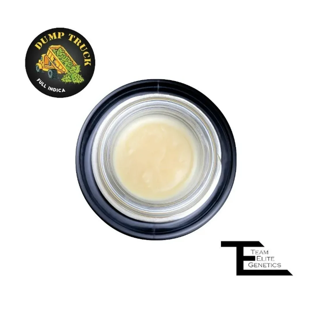 DUMP TRUCK ROSIN (TIER 2) 1G