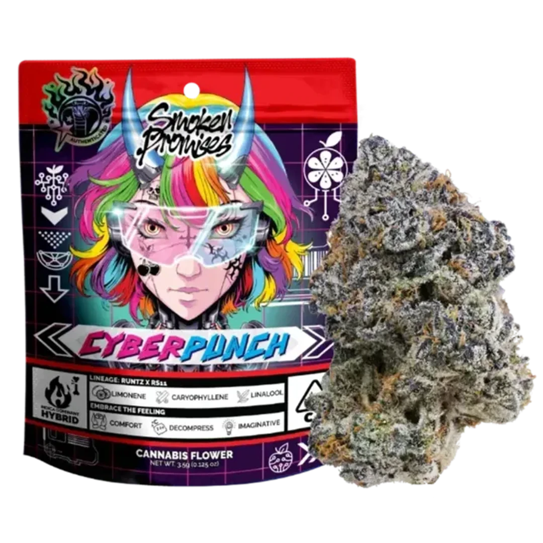 CYBERPUNCH 3.5G