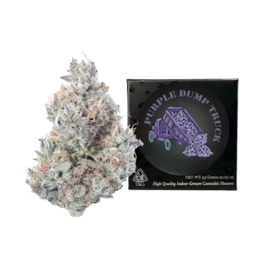 PURPLE DUMP TRUCK 3.5G