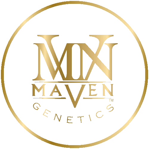 MAVEN logo