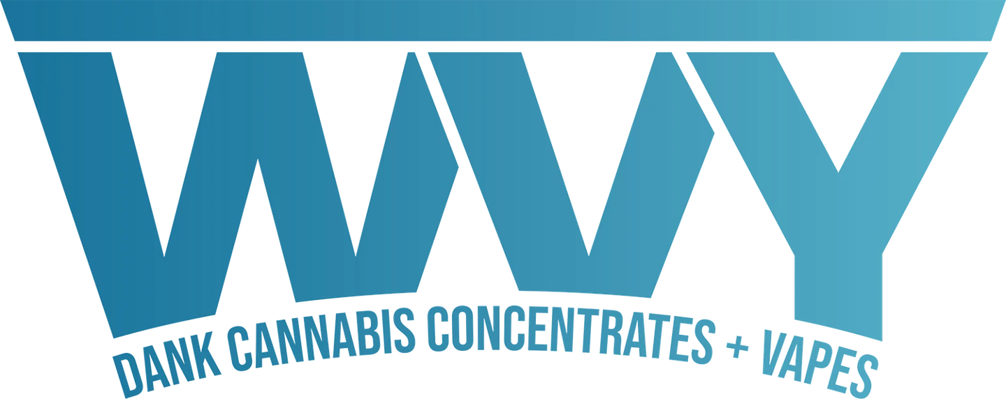 WVY logo