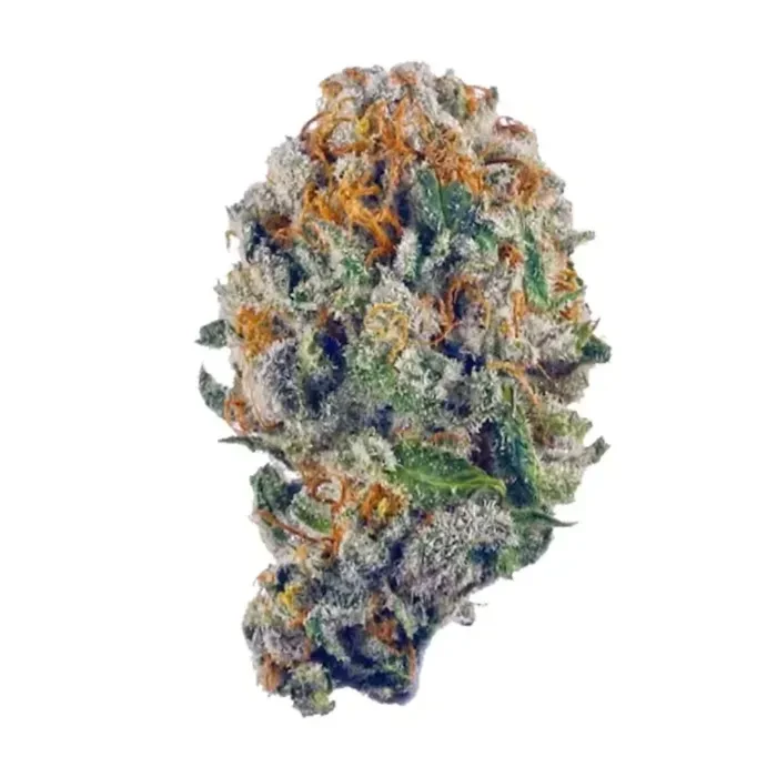 STRAWBERRY SHORTCAKE 3.5G