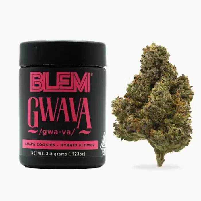 FLOWER [3.5G] GWAVA - 3.5 G
