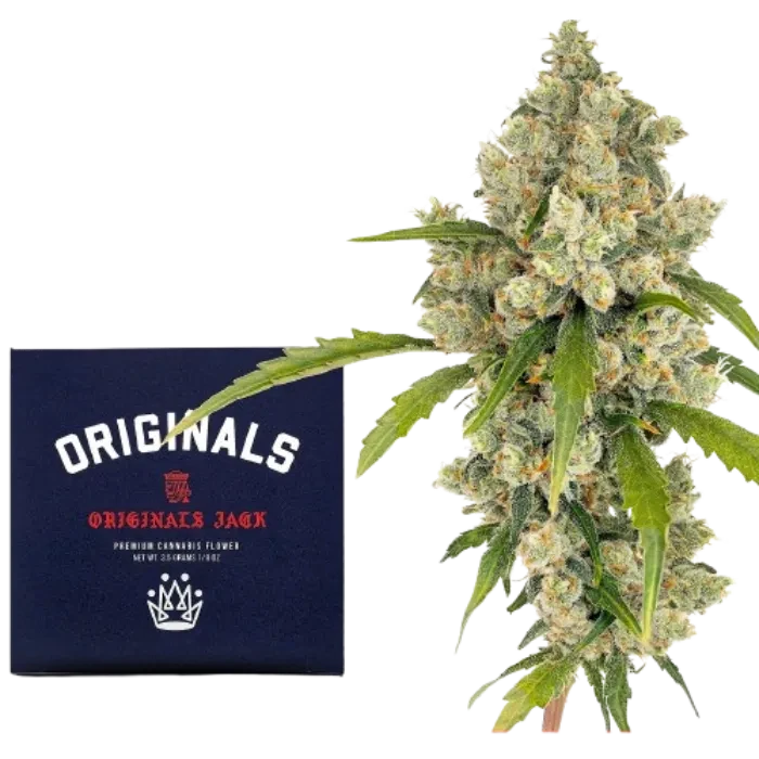 Originals: Originals Jack 3.5G