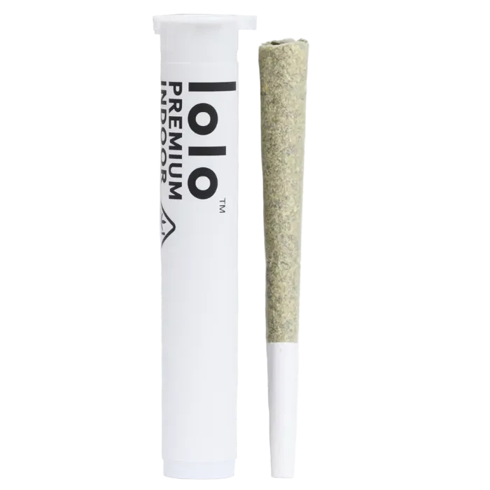 PREROLL [1G] BLUEBERRY THINMINT - 1 G product image