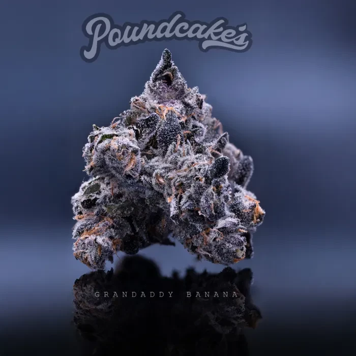 Granddaddy Banana 3.5g