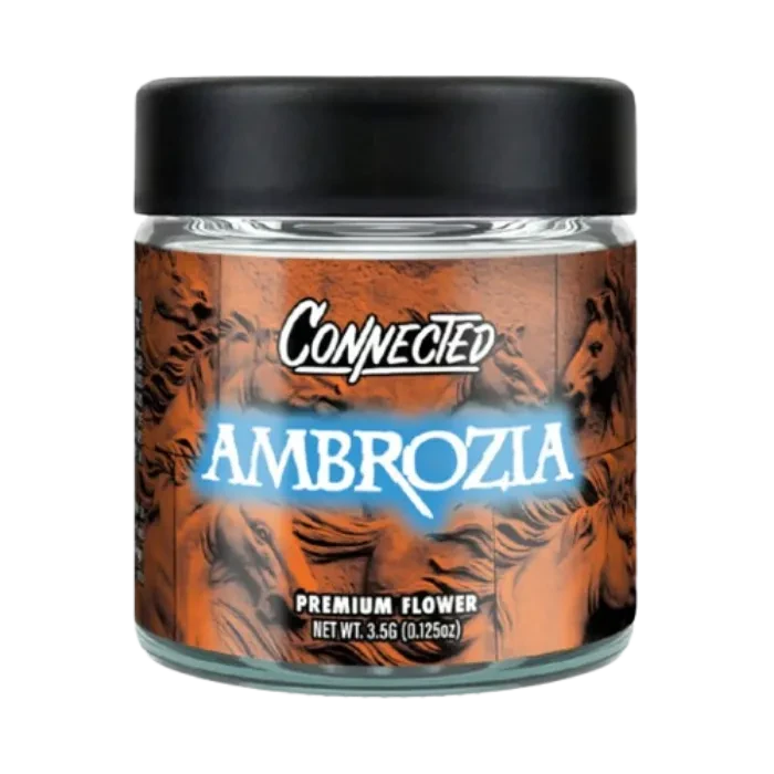 Connected — Ambrozia