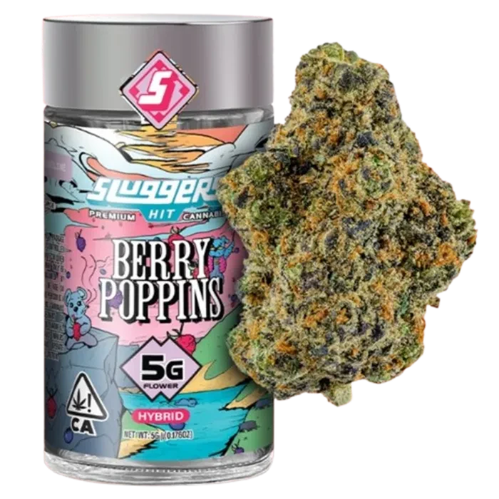 BERRY POPPINS 5G