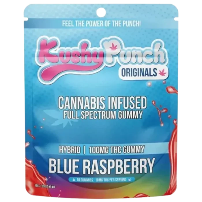 BLUE RASPBERRY HYBRID GUMMY 10 PACK 100MG