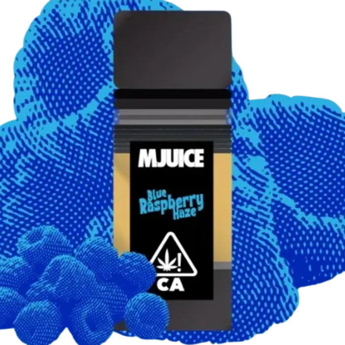 BLUE RASPBERRY HAZE POD 1G