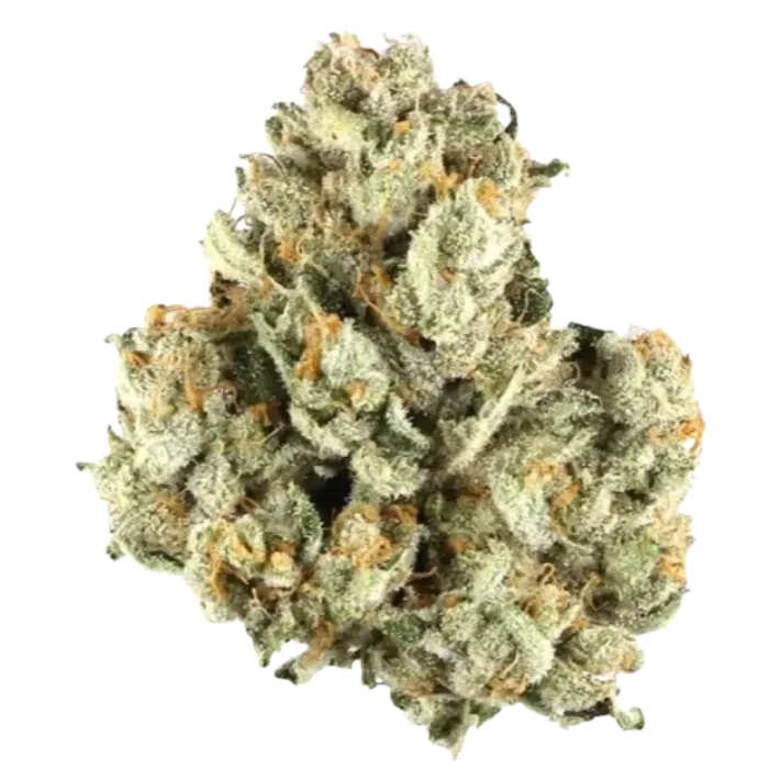 BLUEBERRY CUPCAKE 3.5G