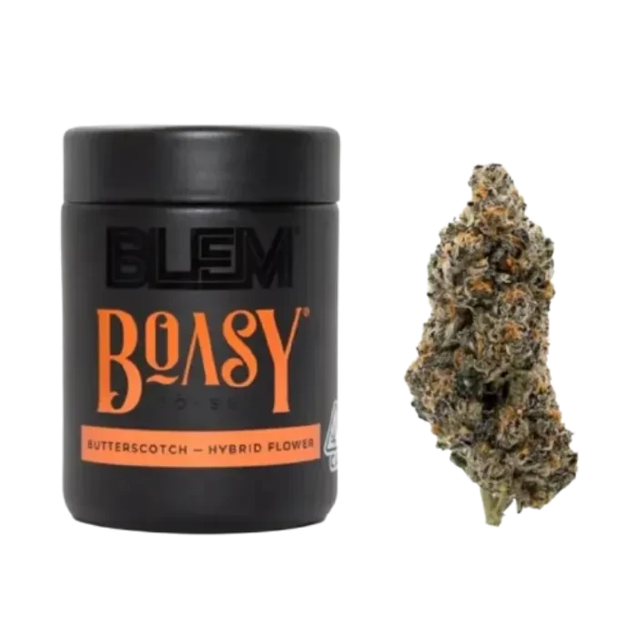 BOASY 3.5G