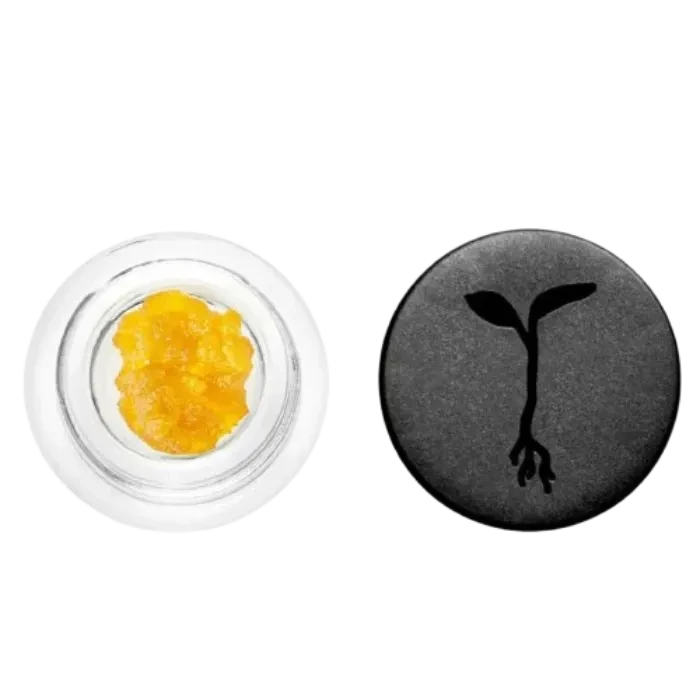 CHEM DIESEL LIVE RESIN 1G