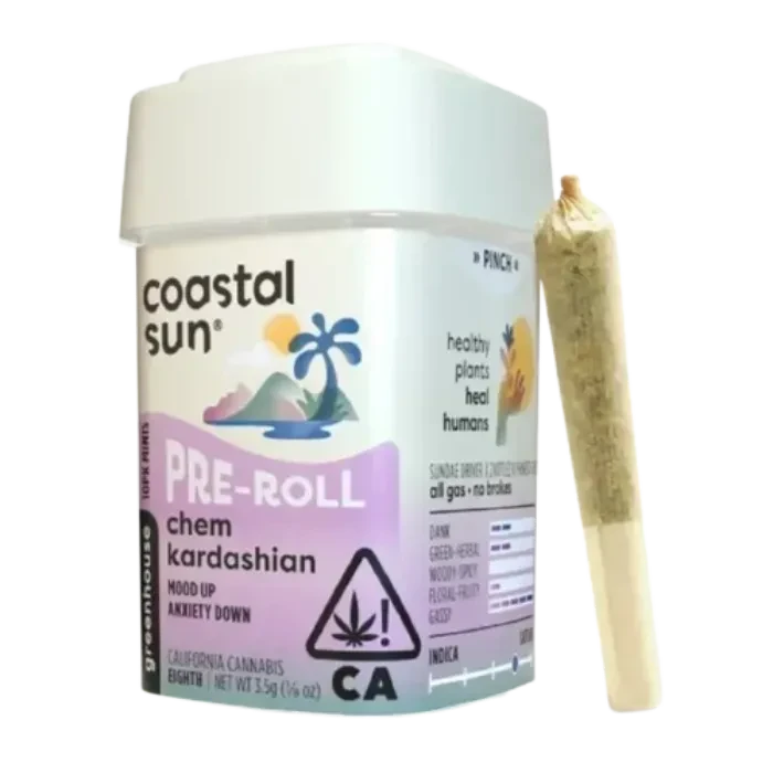 Coastal Sun — Chem Kardashian