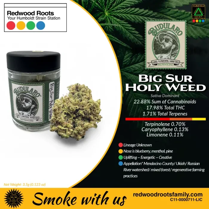FLOWER [3.5G] BIG SUR HOLY WEED - 3.5 G