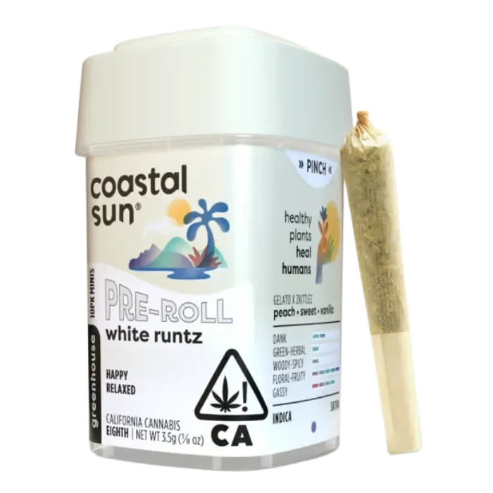 Coastal Sun — White Runtz
