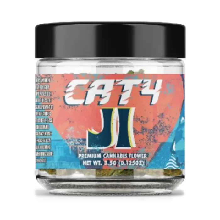 CAT4 — J1