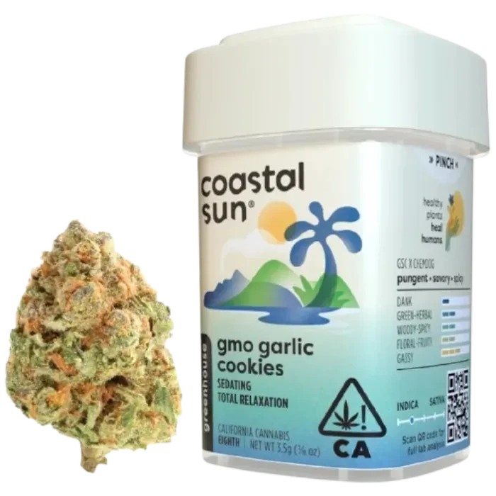 GMO GARLIC COOKIES 3.5G