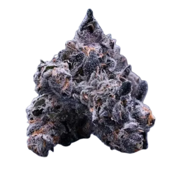 POUNDCAKE'S FARMS — Granddaddy Banana