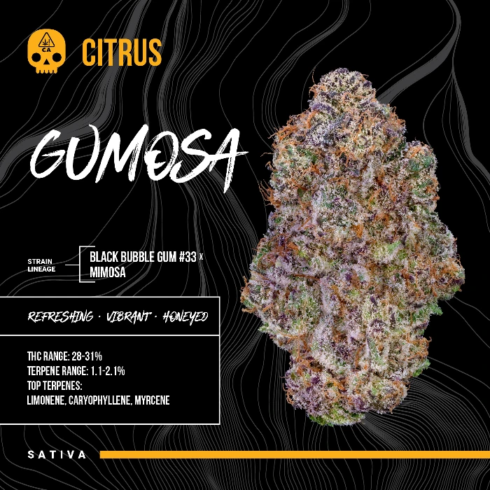 FLOWER [3.5G] GUMOSA - 3.5 G