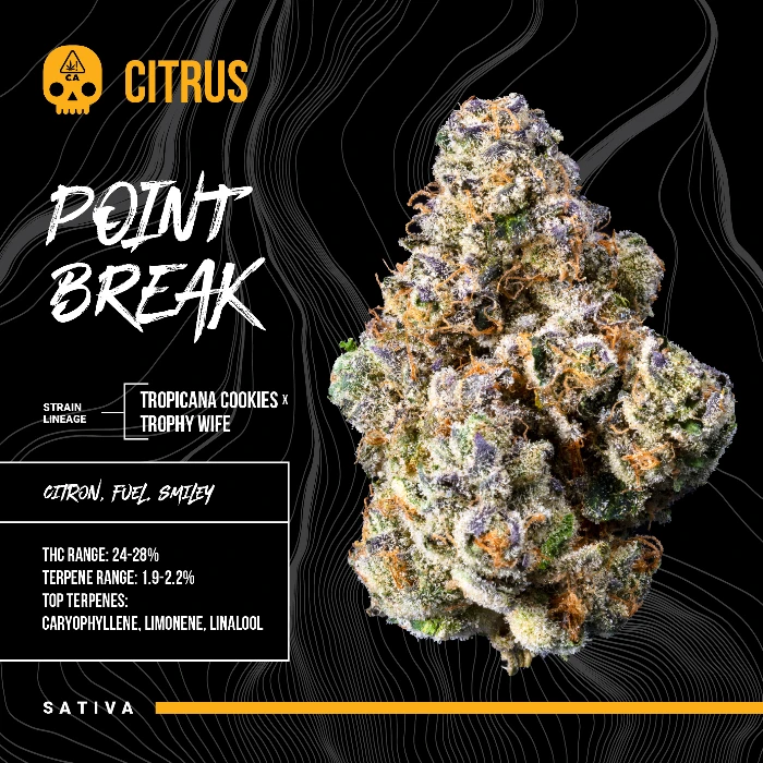 FLOWER [3.5G] POINT BREAK - 3.5 G