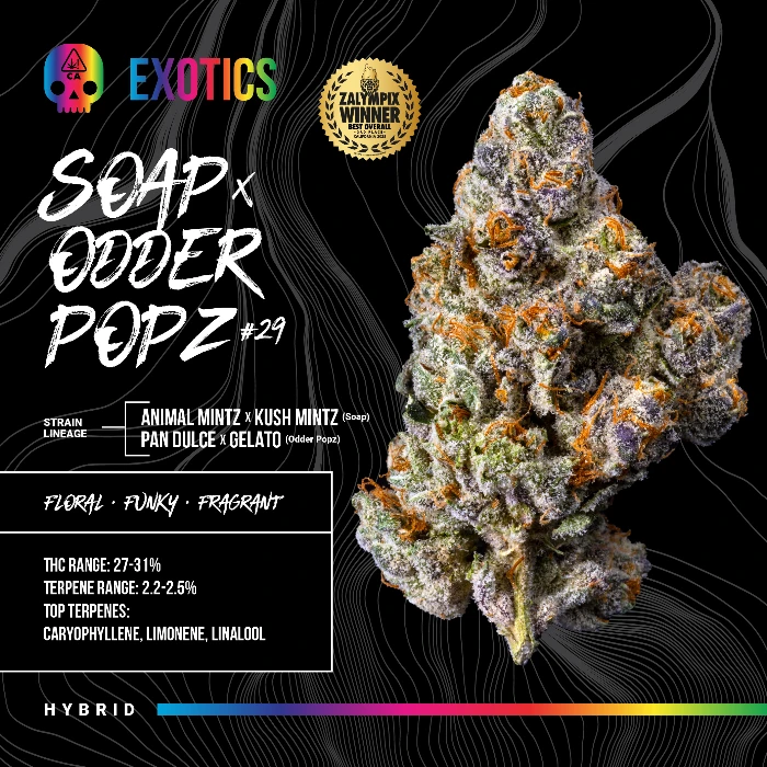 FLOWER [3.5G] SOAP X ODDER POPZ #29 - 3.5 G