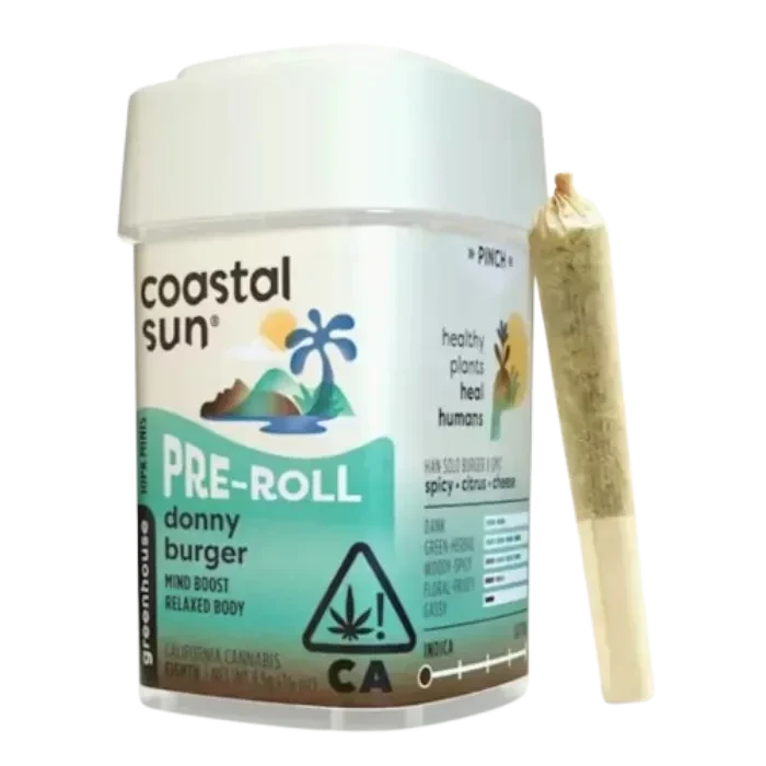 Coastal Sun — Donny Burger