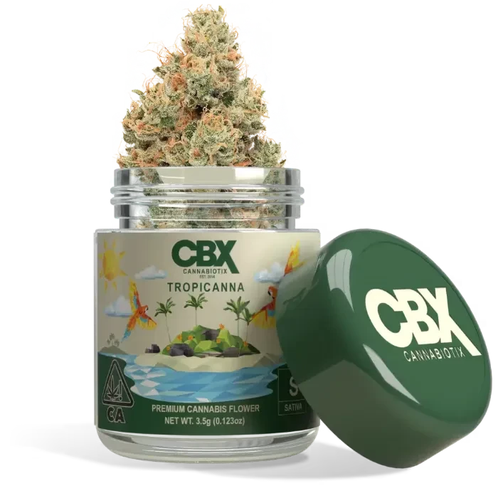 FLOWER [3.5G] TROPICANNA product image