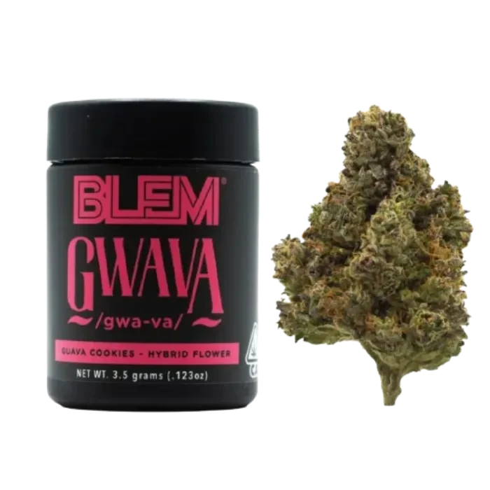 GWAVA 3.5G