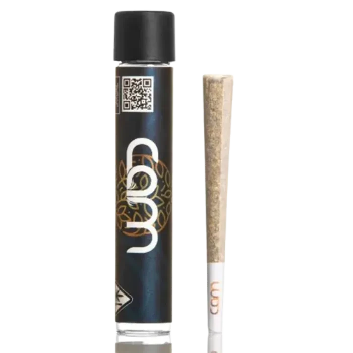 JACK HERER PRE-ROLL SINGLE 1G