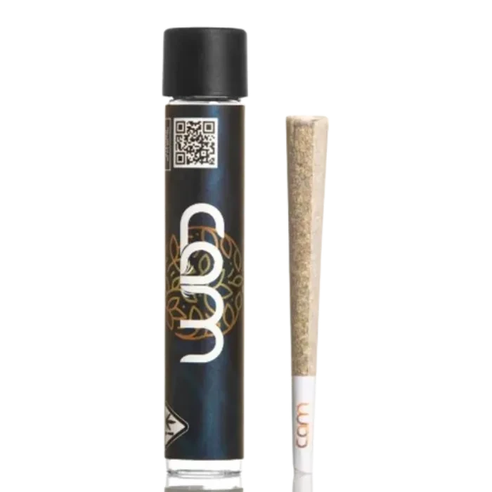 KOSHER KUSH PRE-ROLL SINGLE 1G