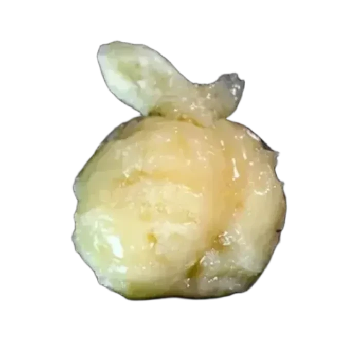 Moroccan Peaches Live Rosin 1G