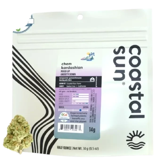 Coastal Sun — Chem Kardashian