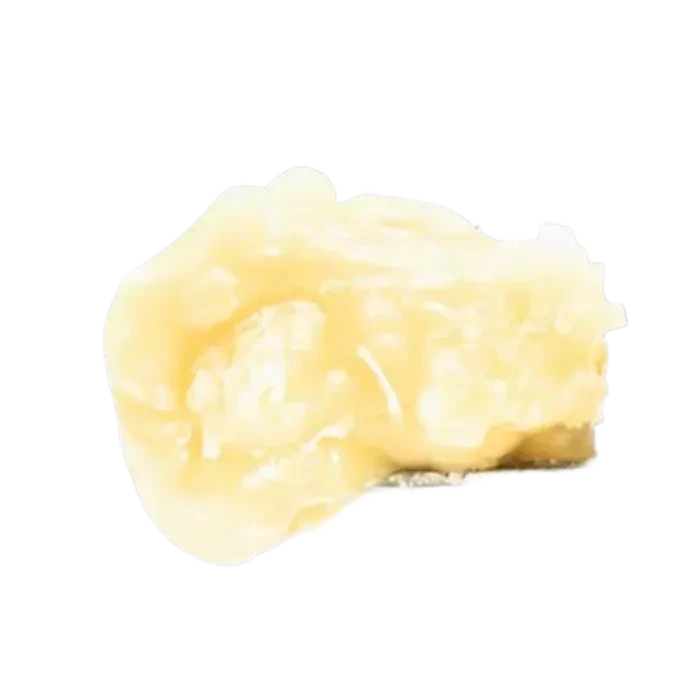 GOVERNMENT OASIS LIVE ROSIN 1G