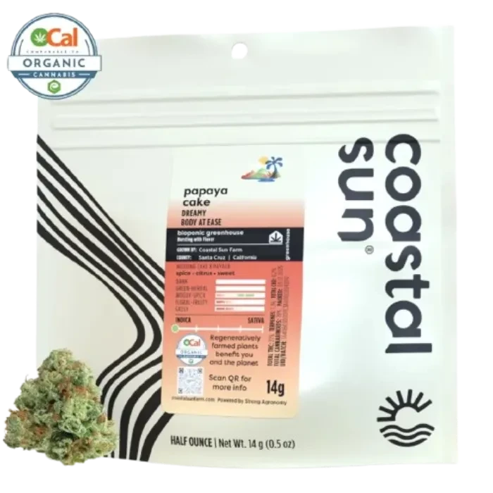 Coastal Sun — Papaya Cake