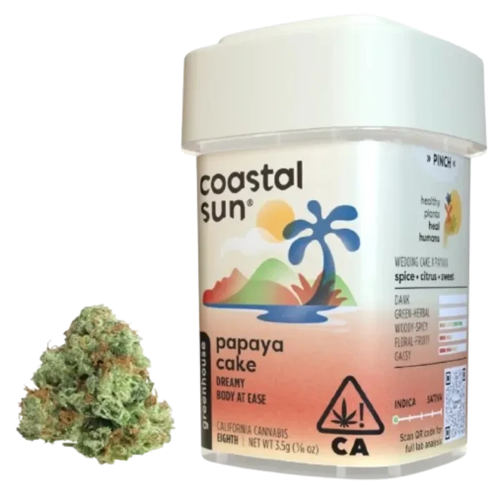 Coastal Sun — Papaya Cake