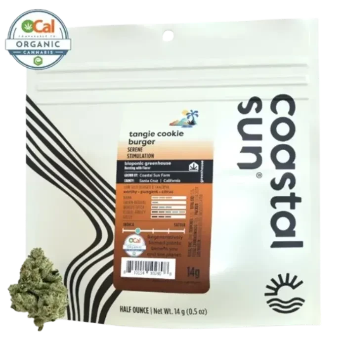 Coastal Sun: Tangie Cookie Burger