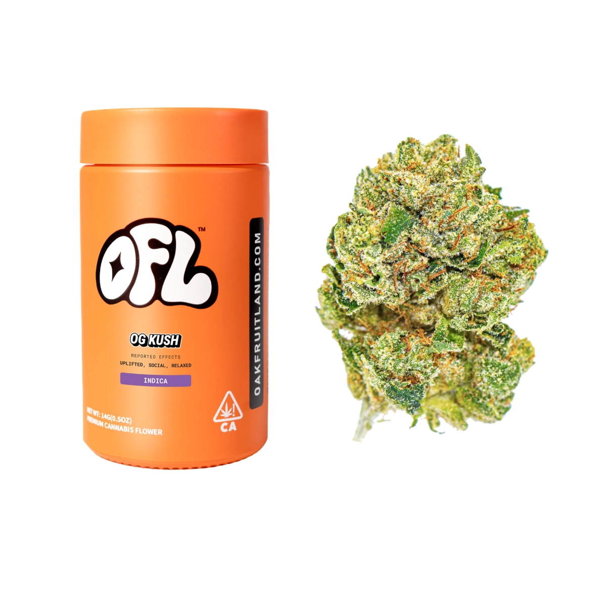 ofl og kush indica strain