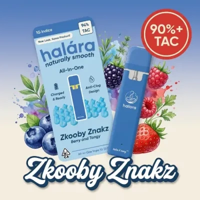 Zkooby Znackz from Halara 