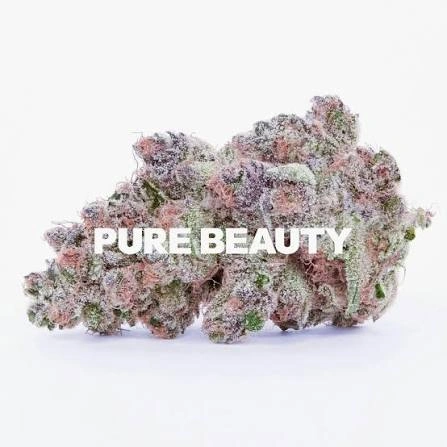 high thc strains pure beauty cherry tart