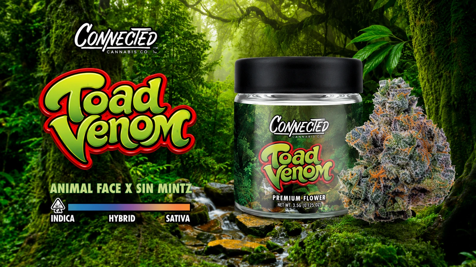 toad venom by connected cannabis co.