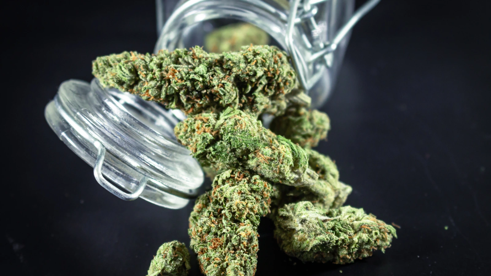 jar of weed representing best hybrid strains
